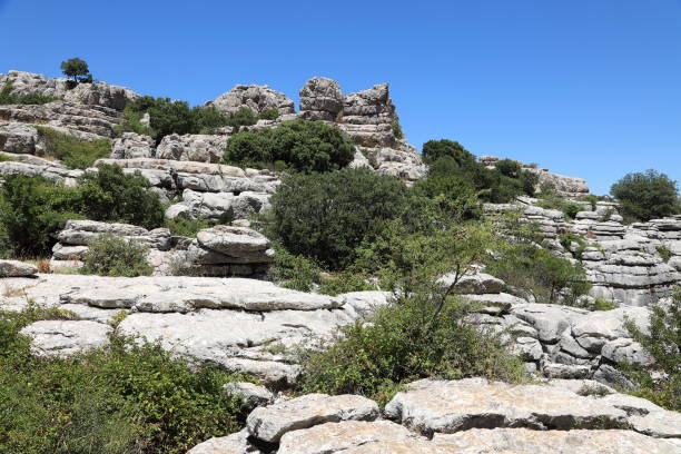 istock El Torcal de Antequera - UNESCO World Heritage Mountains, Spain 1009144838