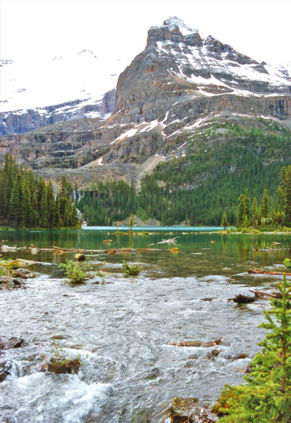istock Lake O'Hara with calm  waters and outlet stream 1009147536