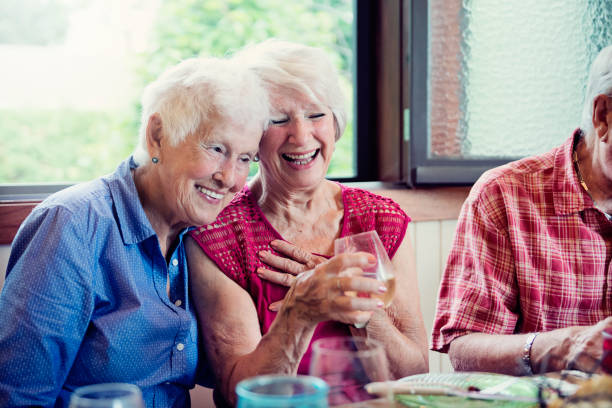 istock Seniors having dinner and conversation in summer house. 1009155180