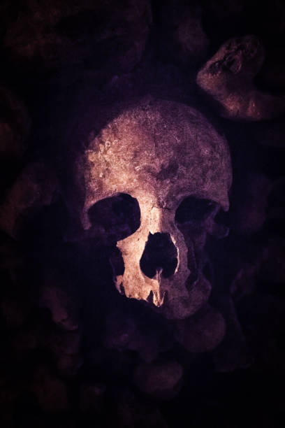 istock Catacombs of Paris 1009155250