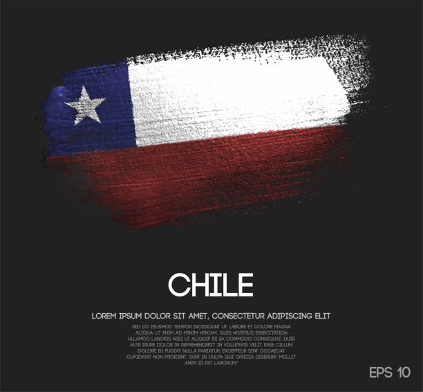 Chile Flag Made of Glitter Sparkle Brush Paint Vector Chile Flag Made of Glitter Sparkle Brush Paint Vector flag of chile stock illustrations
