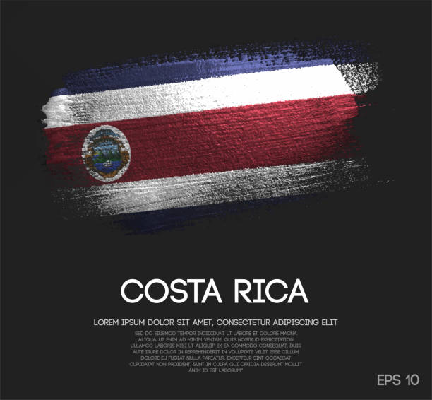 коста-рика флаг из блеска sparkle кисть краска вектор - costa rica stock illustrations