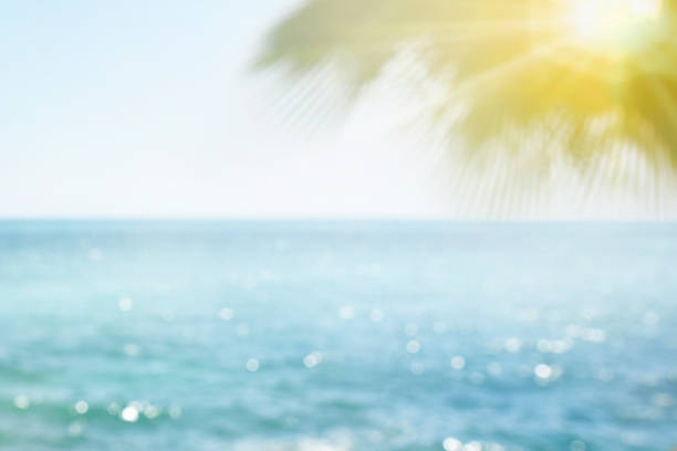 istock Blur beautiful nature green palm leaf on tropical beach with bokeh sun light wave abstract background 1009176282