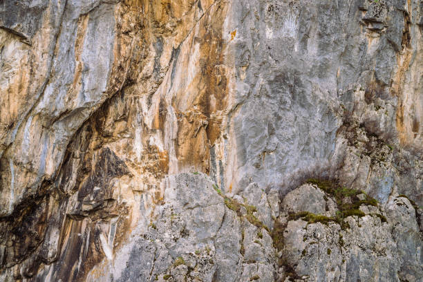 istock Beautiful rocky gray textured background with mosses and lichens. Surface mountain cliff close-up. 1009216836
