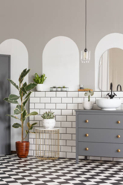 istock Grey cabinet and ficus in modern bathroom interior with mirror and checkerboard floor. Real photo 1009226732