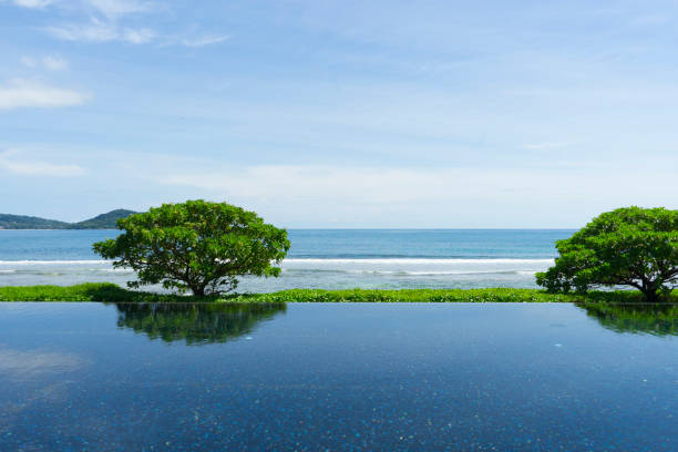 istock beautiful blue swimming pool with sea views. 1009226814
