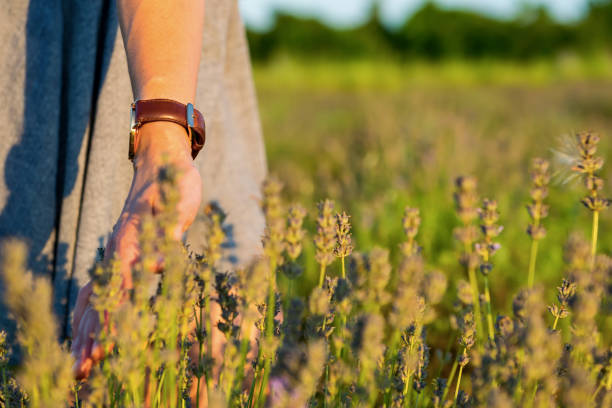 istock Woman hand touching flowers 1009229312