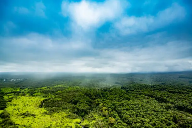 arial view of jungle near Hilo, Hawaii