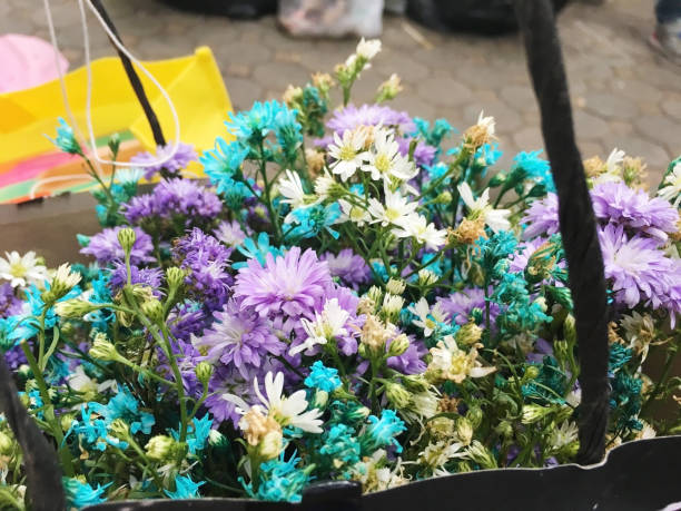 Colorful flower, Daisy flower