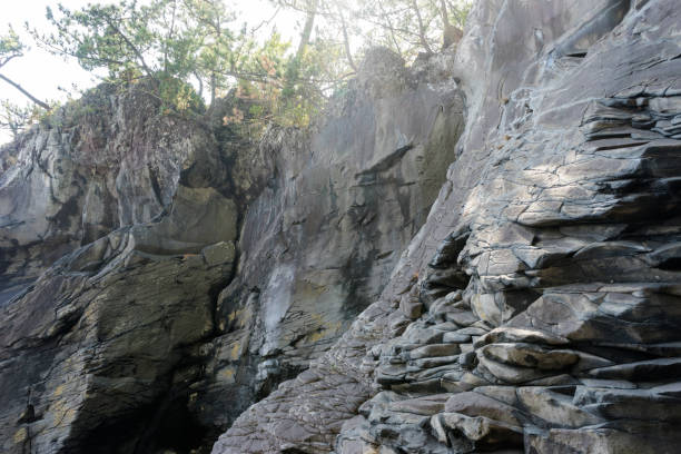 istock Rock wall of Jogasaki coast 1009257136