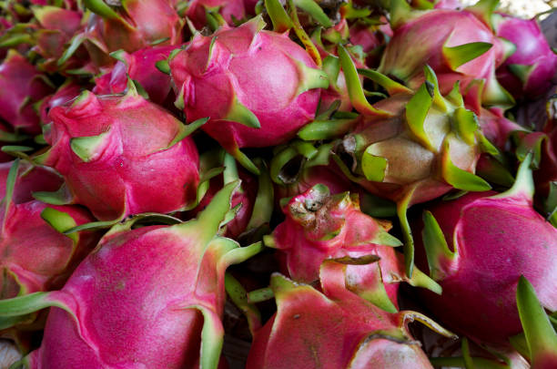 istock Closeup of colourful Dragon fruit 1009259502