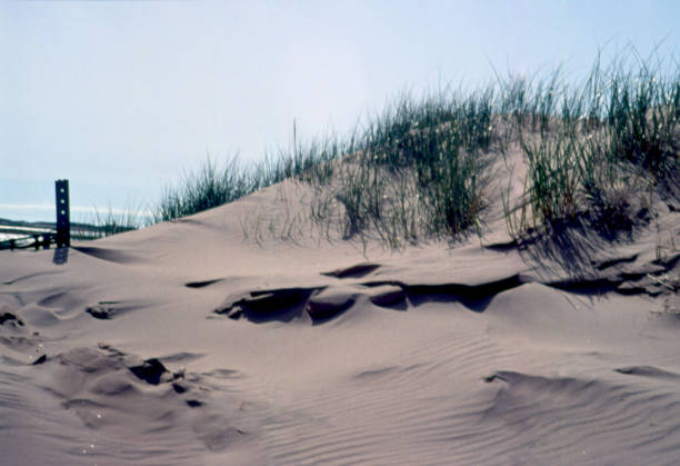 istock Sand dune on Magdelan Islands 1009260026