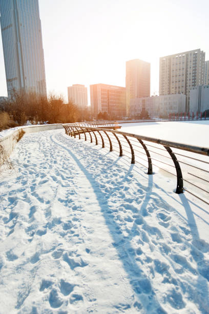 istock City sidewalk in snowy day 1009266324