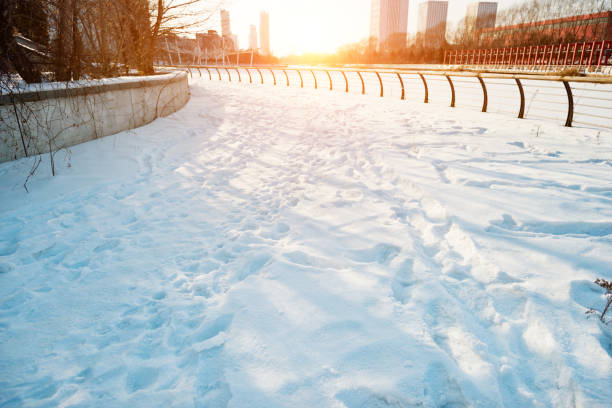 istock City sidewalk in snowy day 1009266684