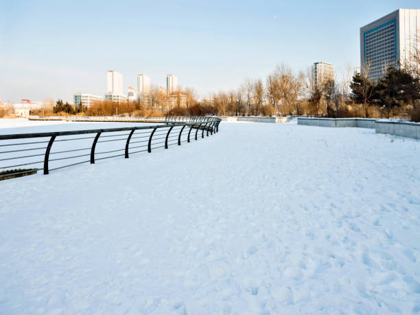 istock City sidewalk in snowy day 1009266864