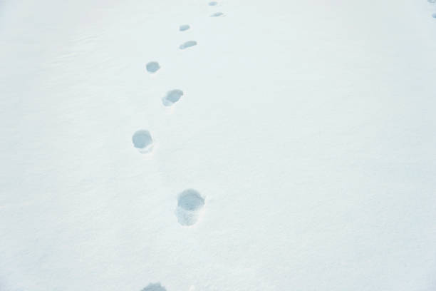 istock Footprints in the snow field 1009272436
