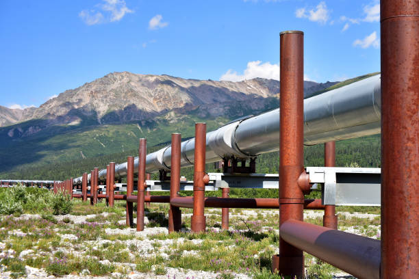 Alaska Pipeline stock photo