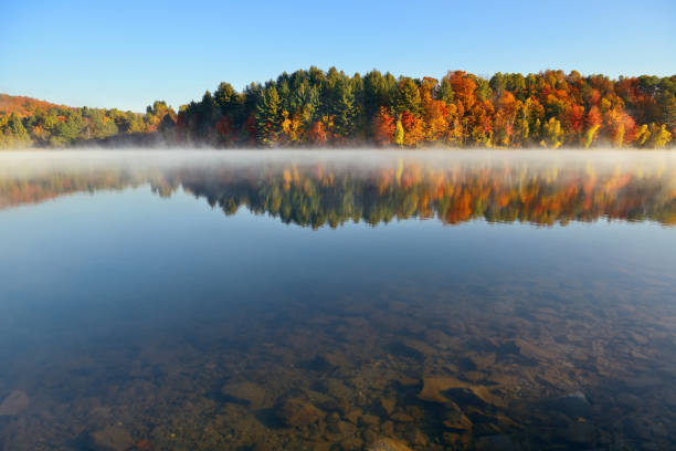istock Lake Autumn Foliage fog 1009299164