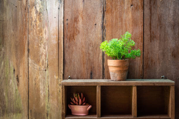 mixed herbs such as basil, chives and rosemary in pots in a wooden tray, gardening tool lying on wooden table