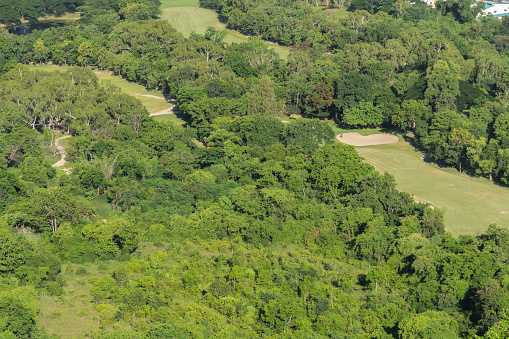 Landscape in aerial view of golf course for golfer with grass green field, putting green and bunkers and nature forest