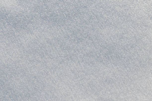 istock Texture of the white snow. Winter background 1009326872