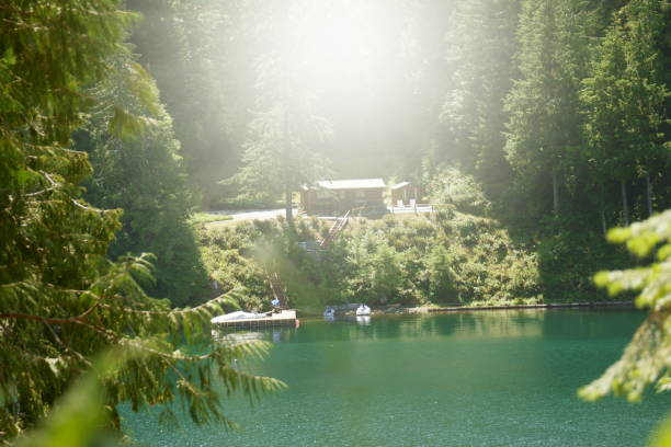 istock Hoh rainforest, Olympic National Park 1009336022