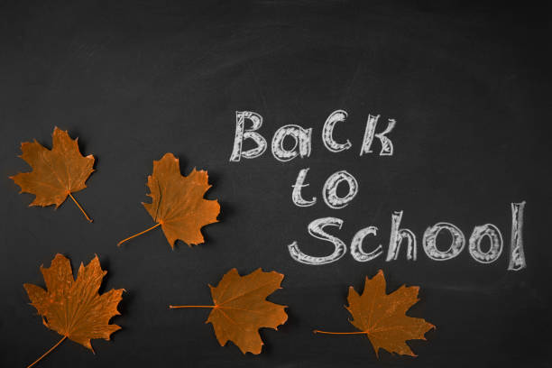 istock Back to school. Drawing chalk on a blackboard Autumn leaves 1009342204
