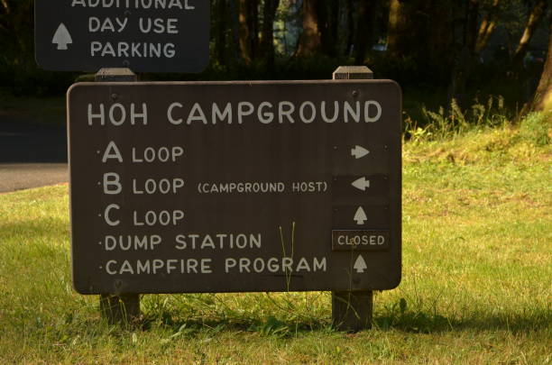 istock Hoh rainforest, Olympic National Park 1009350742