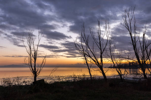 istock Moody lake shore at sunset, with sun light reflecting on water, and skeletal trees 1009351244