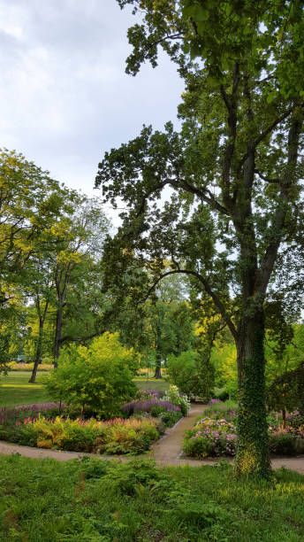 istock Feldberg Lake Landscape - Germany, holiday destination. spa gardens 1009362034