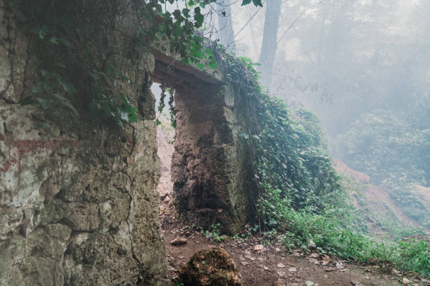 Scary old entrance to forest graveyard in dense fog.