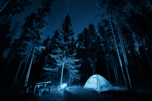 istock Banff National Park 1009373212