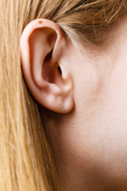 istock Close up of woman ear 1009373628