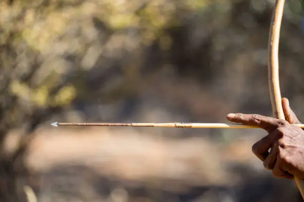 Kalahari bushman hunting