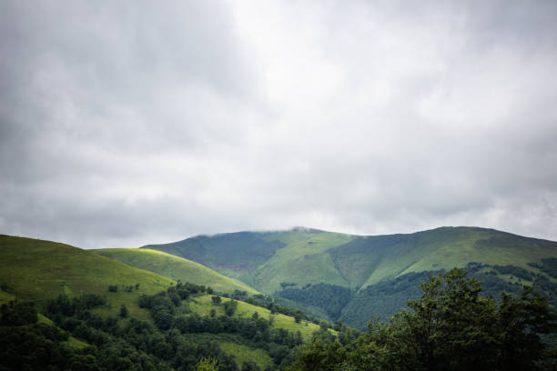 istock Carpathian forest before rainy night. Landscape with pine forests and mountains in summer. Zakarpattya, Ukraine. 1009387032