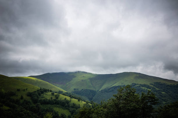 istock Carpathian forest before rainy night. Landscape with pine forests and mountains in summer. Zakarpattya, Ukraine. 1009387082