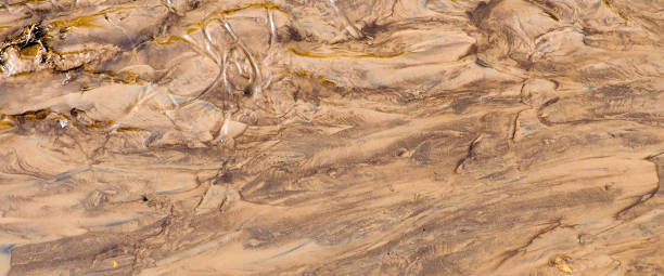 istock banner for website, Brown ground surface. Close up natural background, blurry wet clay 1009389656