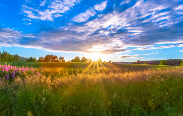 istock Summer sunset landscape from Sotkamo, Finland. 1009390580