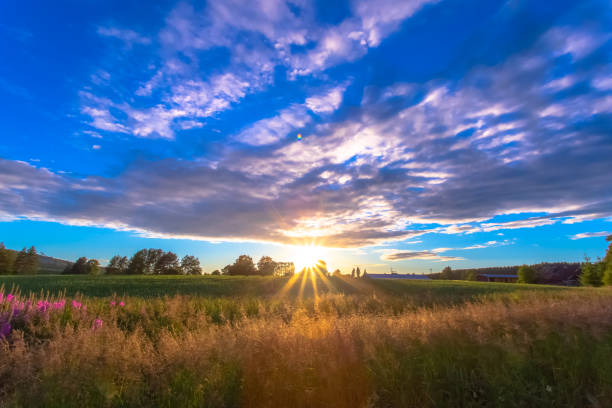 istock Summer sunset landscape from Sotkamo, Finland. 1009390586