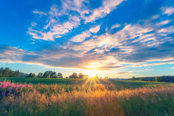 istock Summer sunset landscape from Sotkamo, Finland. 1009390636
