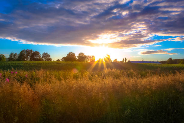 istock Summer sunset landscape from Sotkamo, Finland. 1009394064