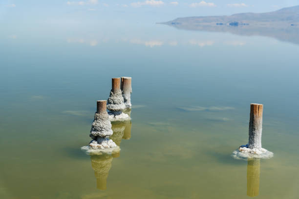 drewniane filary ze skrystalizowanym solą na jeziorze słonym urmia. iran - lake urmia zdjęcia i obrazy z banku zdjęć