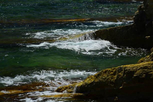 istock Waves breaking over imestone outcrops jutting into clear sea 1009402042