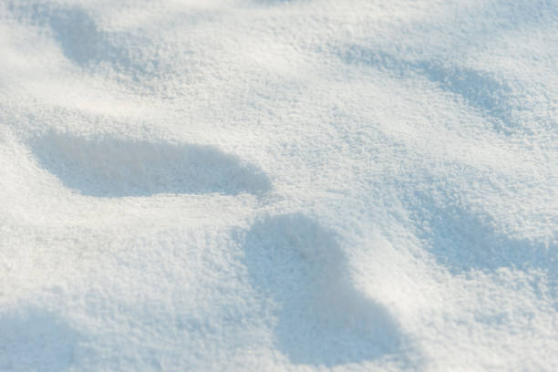 istock Close up of white snow background 1009421196