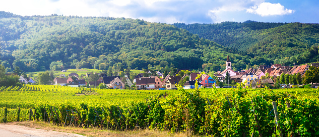 Picturesque vineyards and villages of Alsace region.