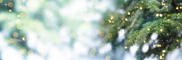 istock Closeup of Christmas-tree background 1009441736