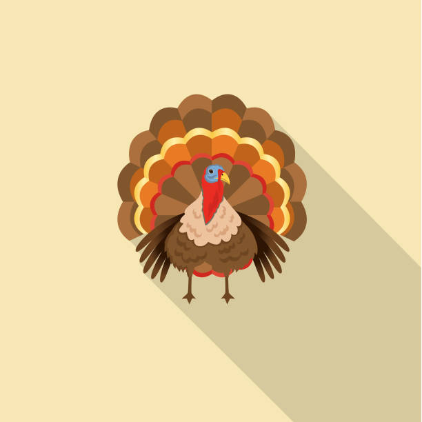 Cute Autumn Icon - Turkey Flat Design Style Autumn Icon - Turkey turkey bird stock illustrations