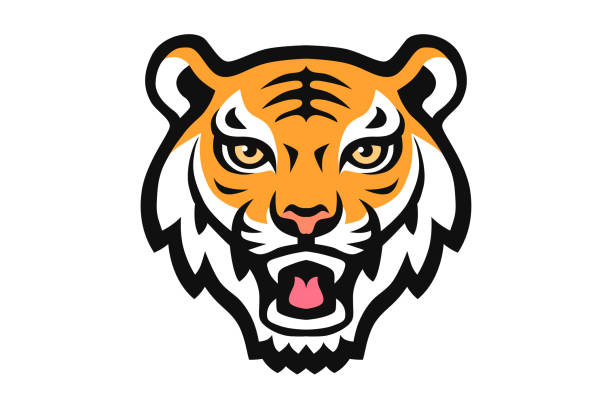 tygrys zwierząt maskotka głowa wektor ilustracja logo - tiger stock illustrations