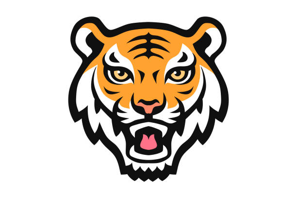 ilustrações, clipart, desenhos animados e ícones de cabeça de tigre mascote animal vetor logotipo de ilustração - tiger