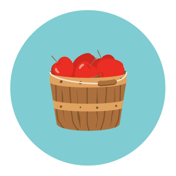 illustrazioni stock, clip art, cartoni animati e icone di tendenza di icona autunnale carina - bushel basket of apples - bushel